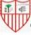 Imagen La Palma C.F.