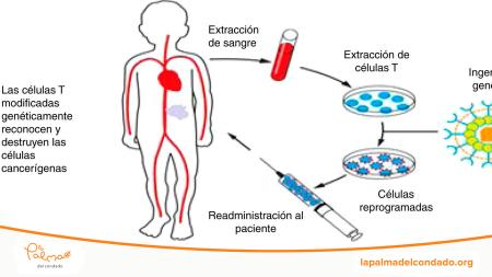Conferencia: CART: Terapia personal y dirigida por la investigadora Elena de la Torre