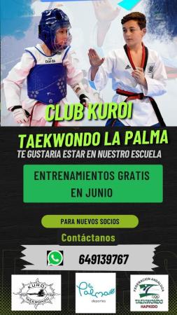 Imagen Clases gratuitas de taekwondo durante el mes de junio
