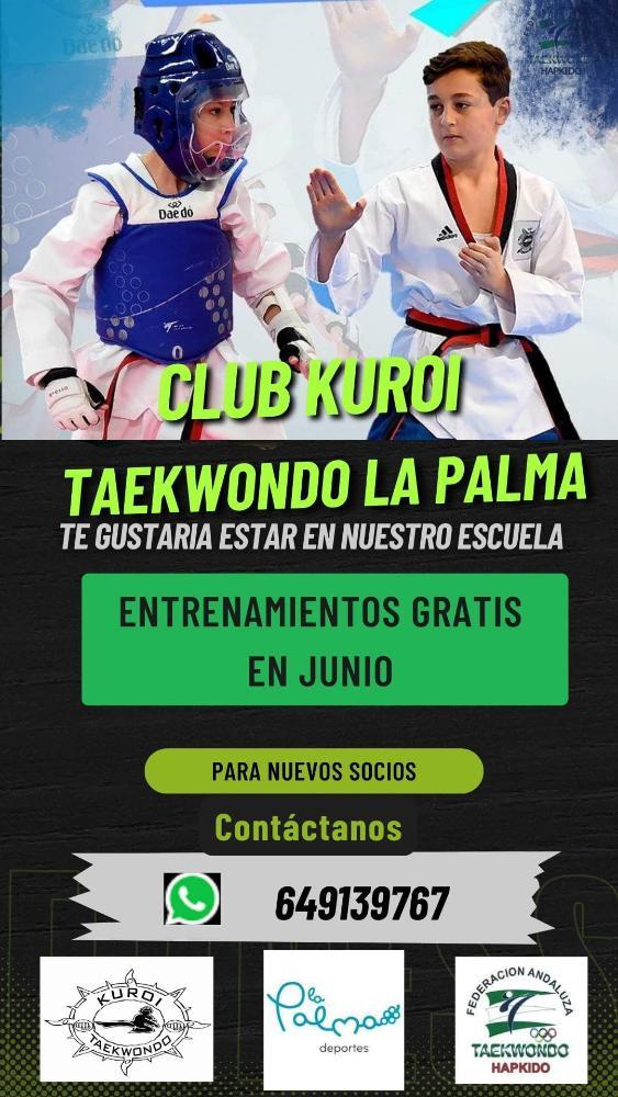 Imagen Clases gratuitas de taekwondo durante el mes de junio